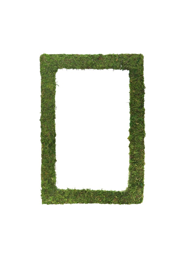 RAHMEN VEGETAL SCHAUM GRÜN 60CM X 40CM