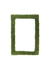 CADRE VEGETAL MOUSSE VERTE 60CM X 40CM