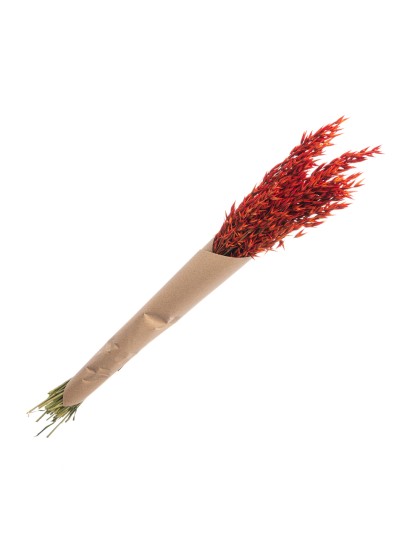 BLUMENSTRAUSS HAFER ORENGEL CA. 65GR CA. 65CM