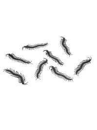 SET 8 MILLE-PATTES PVC SCHWARZ 14CM X 3.5CM