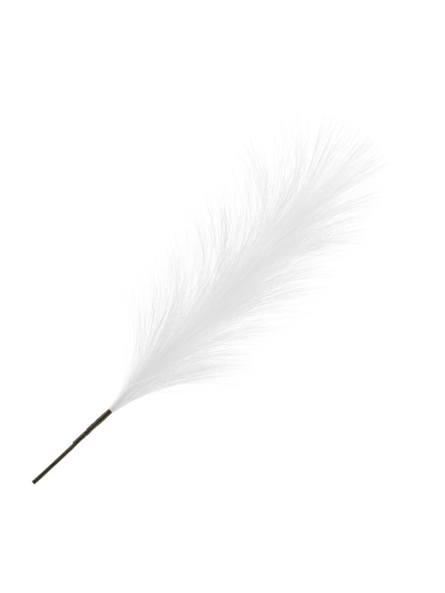 STIEL FEDERSTAUB PAMPASGRAS KÜNSTLICH WEISS 56CM
