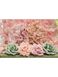 4 ROSENKOPF PFIRSICH DIA 9.5CM X 5.5CM