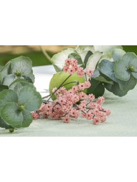 TIGE GYPSOPHILE ROSE ENV 15CM X 10CM X 60CM