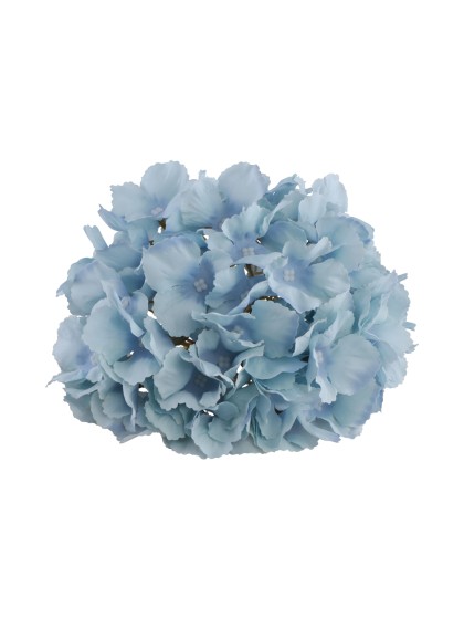 TETE HORTENSIA BLEU CIEL DIA 20CM X 11CM