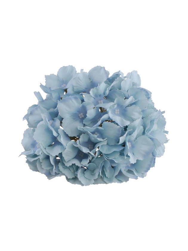 TETE HORTENSIA BLEU CIEL DIA 20CM X 11CM