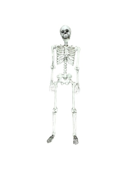 SKELETT  BEWEGLICH 155CM