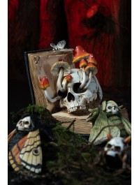 BOOK OF SPELLS SKULL AND MUSHROOMS 17CM X 17CM X 19CM