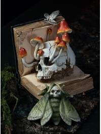 BUCH AUS SORTILEGES TOTENKOPF UND PILZE 17CM X 17CM X 19CM