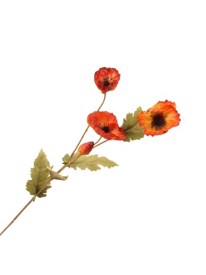 TIGE PAVOT ORANGE 10CM X 10CM X 60CM