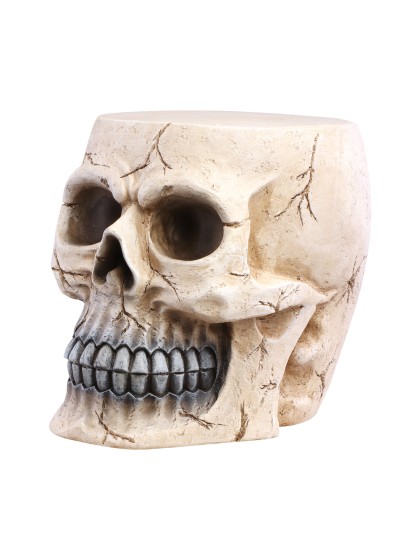 SUPPORT MAGNESIE XL TETE DE MORT 27CM X 34CM X 30.5CM
