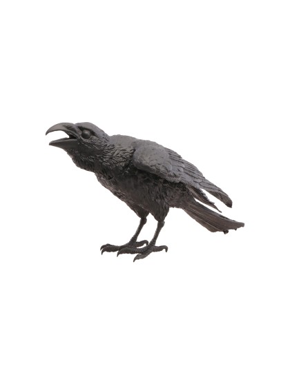 FOAM BLACK RAVEN 26CM X 13CM X 12CM