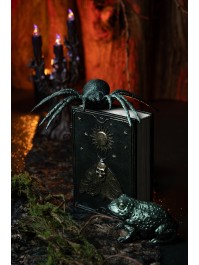 BOOK OF SPELLS SKULL BUTTERFLY 15CM X 6CM X 20CM