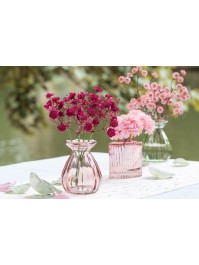 BOUQUET 6 TIGES GYPSOPHILES FRAMBOISE DIA 12CM X 24CM