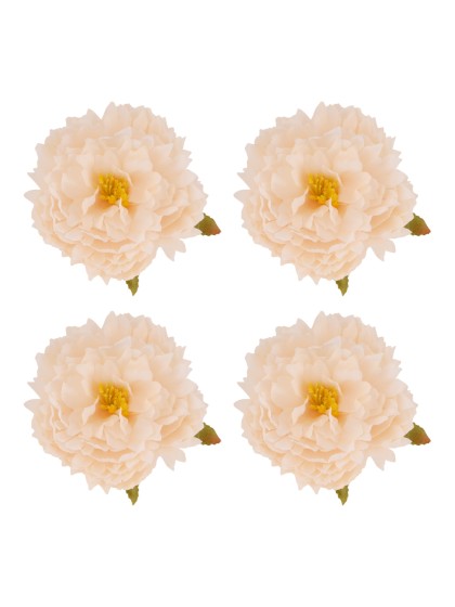 4 TETES PIVOINE AMANDE DIA 9CM X 4CM