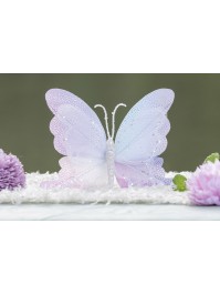 PAPILLON IRISE AVEC SUPPORT PINCE 19CM X 3CM X 23CM