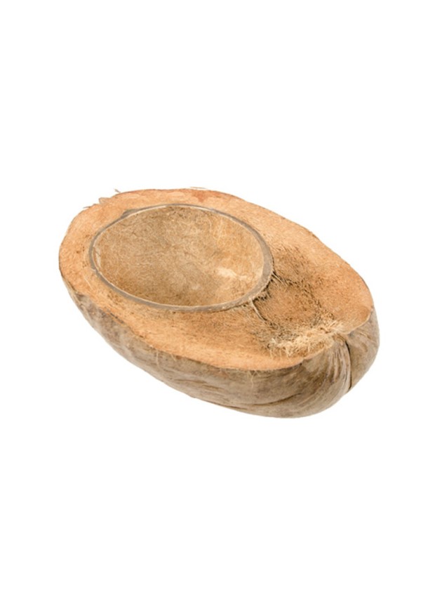 DEMI NOIX DE COCO ENV 18CM X 16CM X 7CM