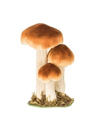 3 BROWN WHITE MUSHROOMS ON BASE WITH MOSS 11CM X 8CM X 18CM