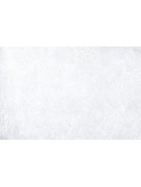 10 SETS DE TABLE RONDS ROMANCE BLANC 34CM