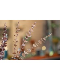 DEKOÄSTE EUKALYPTUS PAILLETTEN GOLD ROSA 61CM