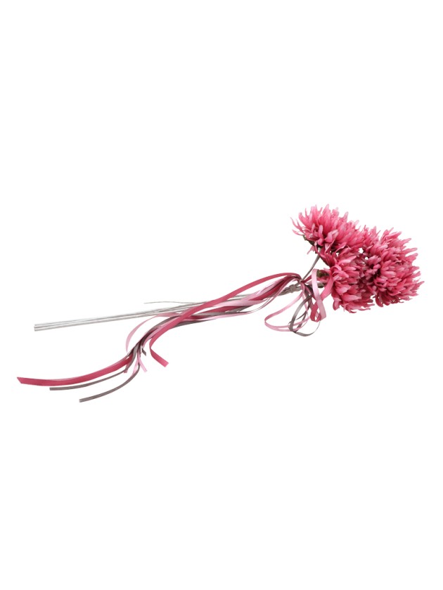 BLUMENSTRAUSS 3 SKABIOSEN FUCHSIA 13CM X 13CM X 55CM