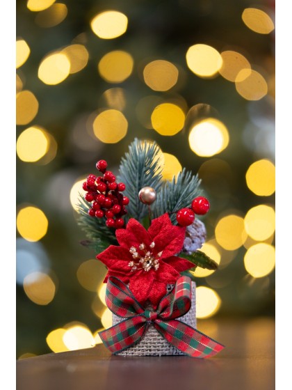 MINI BLUMENSTRAUSS DEKOÄSTES WEIHNACHTSSTERN ROT 2 SORT. DIA 5.5CM X 13.5CM