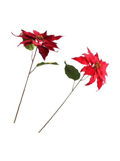 RED/BURGUNDY VELVET POINSETTIA STEM 2 ASS DIA 24CM X 53CM