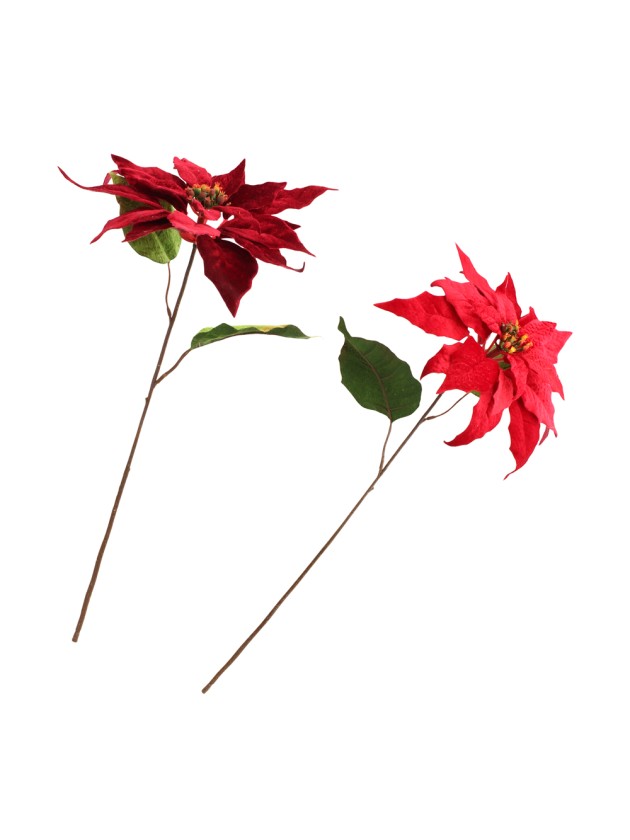 RED/BURGUNDY VELVET POINSETTIA STEM 2 ASS DIA 24CM X 53CM