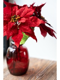 RED/BURGUNDY VELVET POINSETTIA STEM 2 ASS DIA 24CM X 53CM