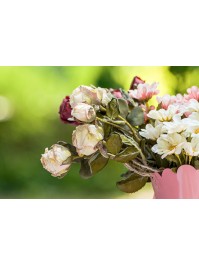 STIEL 5 ROSA ELFENBEIN EFFEKT REALISTISCH 43CM
