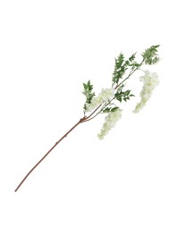 GLYCINE BRANCH 3 WHITE FLOWERS 30CM X 10CM X 110CM