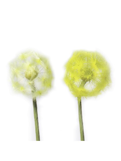 BLUME LÖWENZAHN 2 FARBEN SORT. GELB H 58CM DIA 5CM