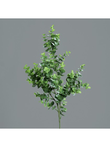 AST EUKALYPTUS GRÜN 70CM