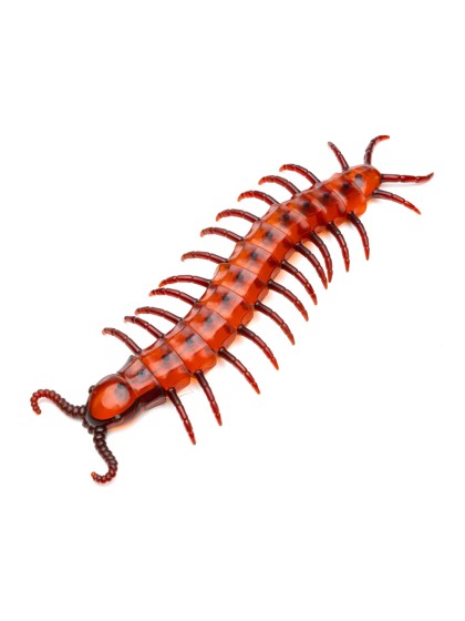 CENTIPEDE GEANT ARTICULE 45CM