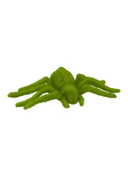 SPIDER MOSS EFFECT 22CM X 13CM X 4CM