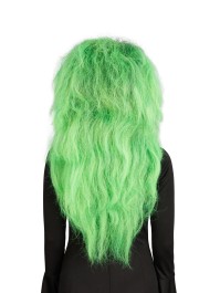 GREEN HAIR WITCH WIG 65CM