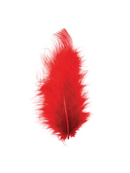 BEUTEL FEDERN 10G ROT 5-10CM