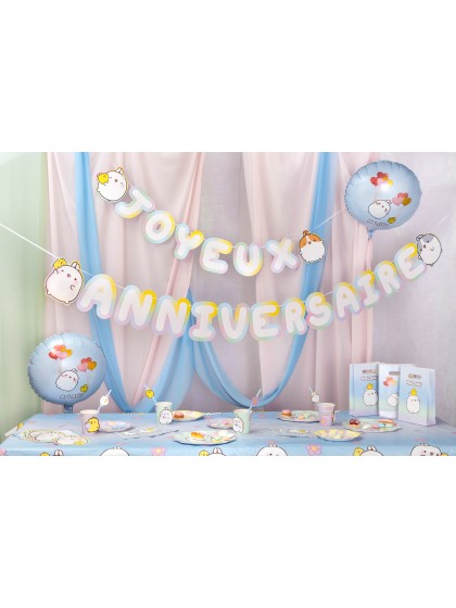 GIRLANDE JOYEUX ANNIVERSAIRE MOLANG © 250CM X 18CM