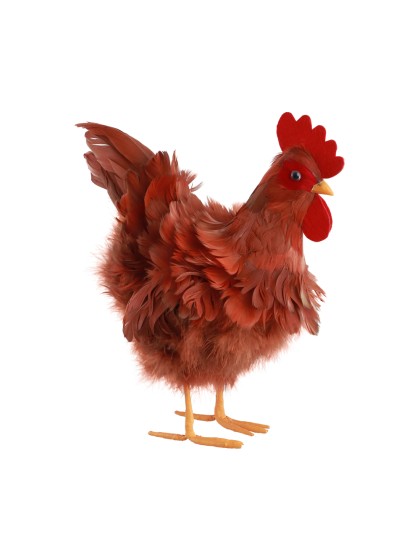 HUHN ROUSSE FEDERN 27CM X 17CM X 33CM