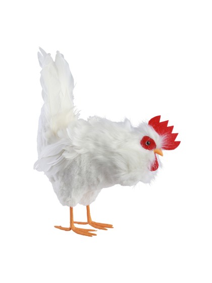 HUHN WEISS FEDERN PICOTA 28CM X 14CM X 37CM
