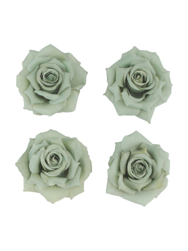 4 ROSENKOPF GRÜN SALBEI DIA 9.5CM X 5.5CM