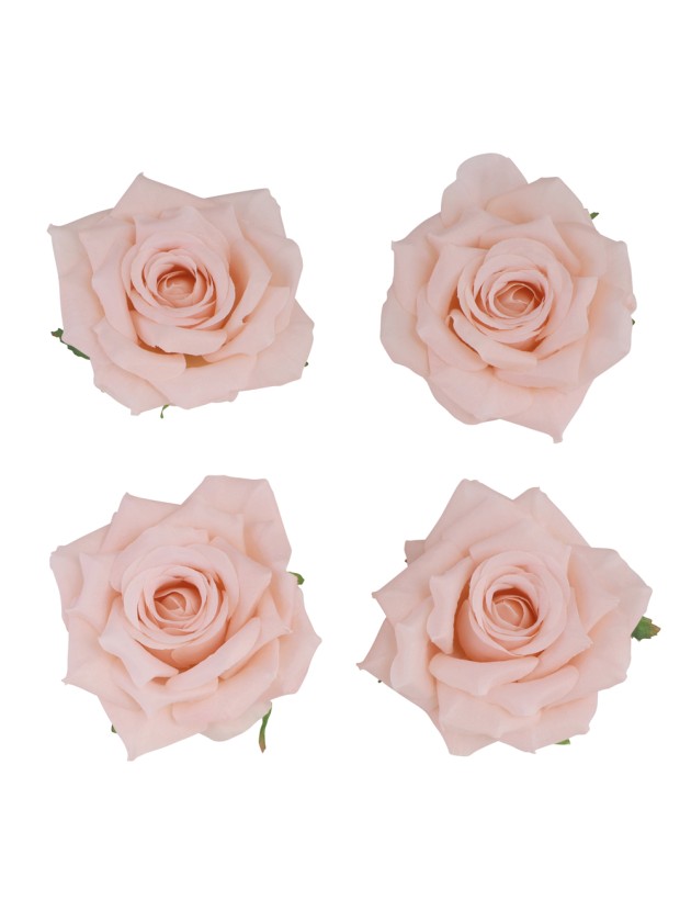 4 PEACH ROSE HEADS DIA 9.5CM X 5.5CM