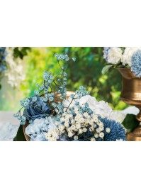 BLUE GYPSOPHILA STEM ENV 15CM X 10CM X 60CM
