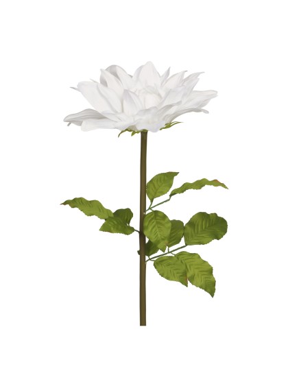 DAHLIE RIESEN WEISS AUF STIEL DIA 35CM X 110CM