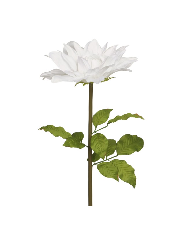 DAHLIE RIESEN WEISS AUF STIEL DIA 35CM X 110CM