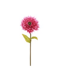 RIESEN-FUCHSIA GERBERA AM STIEL DIA 25CM X 85CM