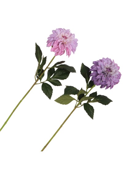 XL LILAC DAHLIA STIEL 2 SORTIERT DIA 14CM X 70CM