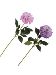 XL LILAC DAHLIA STIEL 2 SORTIERT DIA 14CM X 70CM