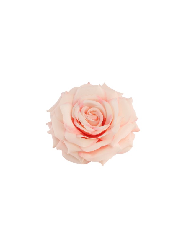 ROSA KOPF DIA 14CM X 6CM