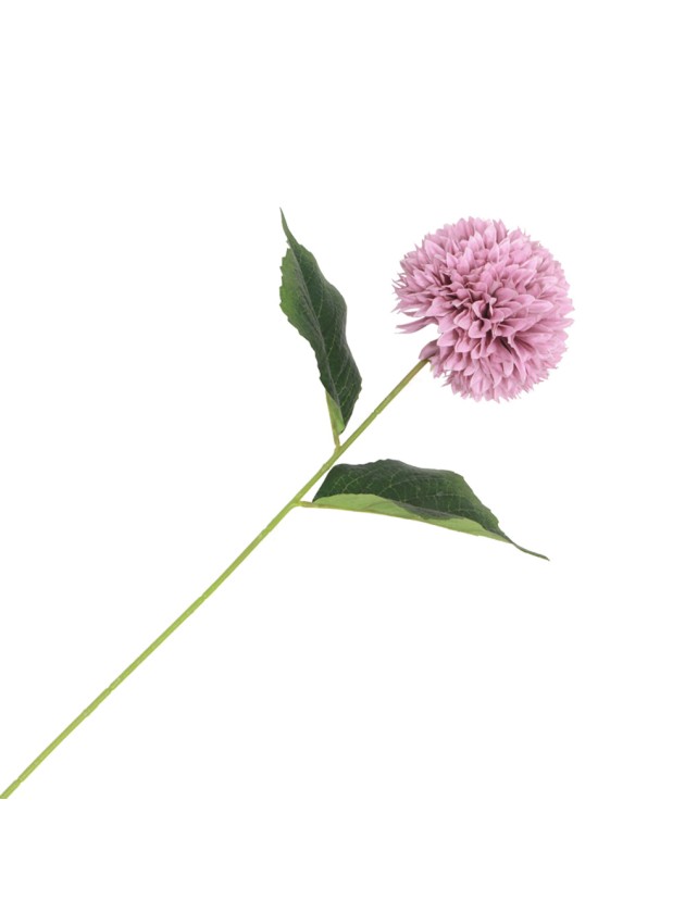 TIGE DAHLIA LILAS DIA 12CM X 62CM