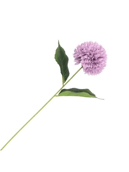 AMETHYST DAHLIA STEM DIA 12CM X 62CM